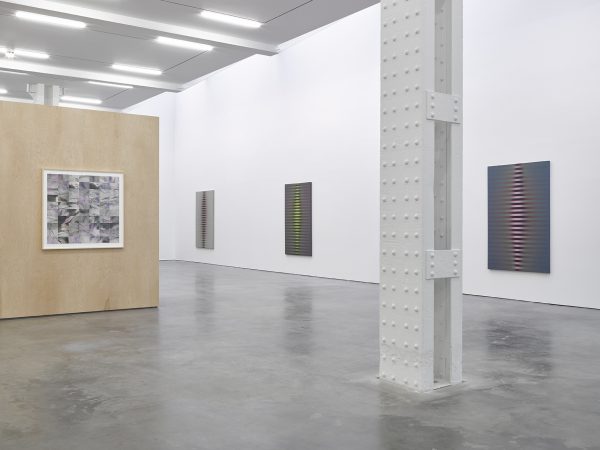 Roy Colmer at Lisson Gallery