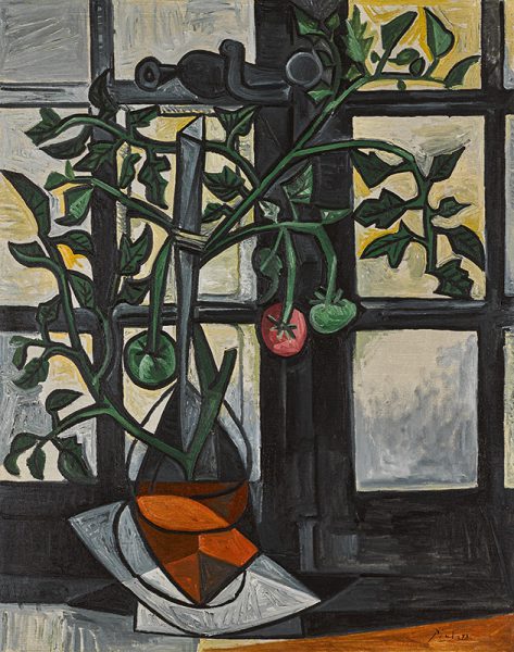 Pablo Picasso’s Plant de tomates of 1944