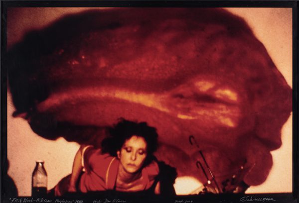 Carolee Schneemann, Fresh Blood – A Dream Morphology, 1983/2004, c-type print 117 x 166 m. Courtesy: P.P.O.W © Carolee Schneemann