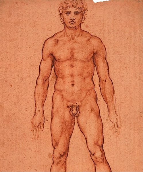 Study Of A Nude Man By Leonardo Da Vinci courtesy The Queens Collection