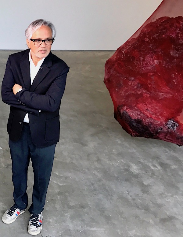 Anish Kapoor Sues NRA Over Copyright Infringement