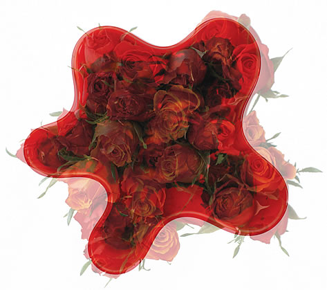 Michael Petry Red Roses 