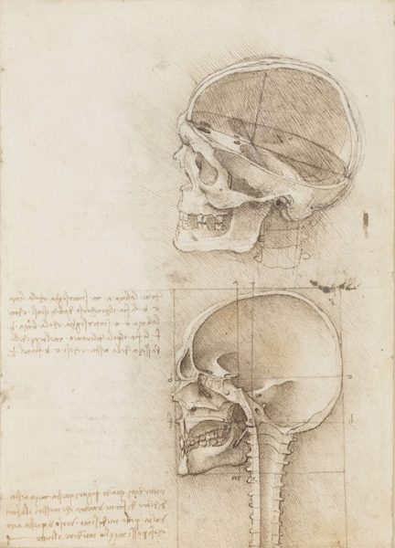 LEONARDO DA VINCI (VINCI 1452-AMBOISE 1519) Recto: The skull sectioned. Verso: The cranium