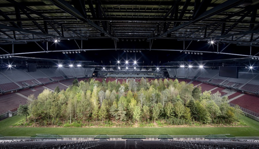 'For Forest – The Unending Attraction of Nature' which took place in Klagenfurt, Austria in 2019