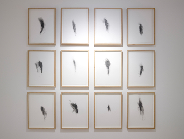 ’Orgasm Drawings’, 2021 - installation view of Oceanic at Parafin Gallery, photography by Peter Mallet