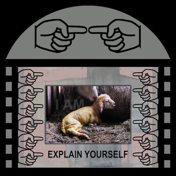 CROSSINGS: "Explain Yourself". Printed Banner - Digital composite © Betty Spackman