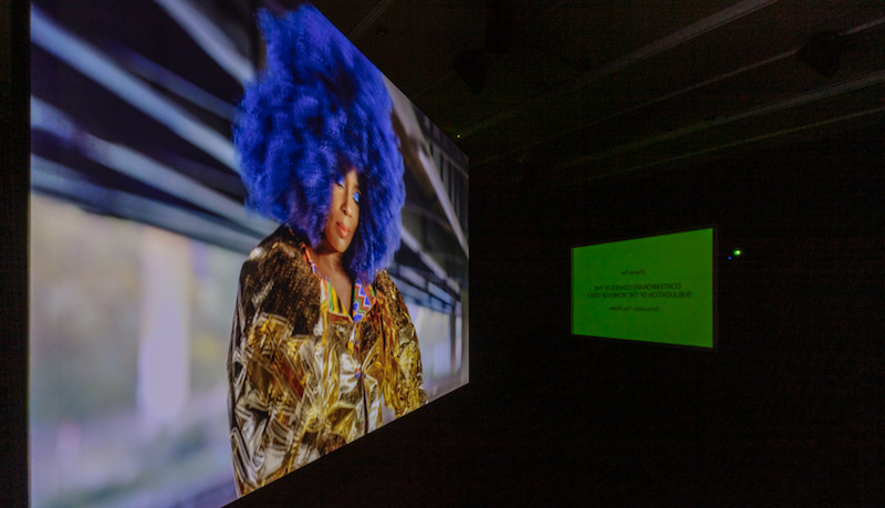 'Othered in a region that has been historically Othered’ By Elsa James, Chapter Three: An Afrofuture Narrative for Essex. Installation View. Photo Credit: Anna Lukala