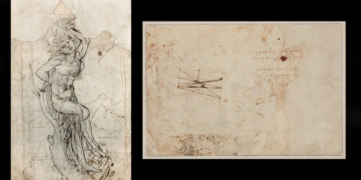 £12m Leonardo da Vinci drawing,auction house