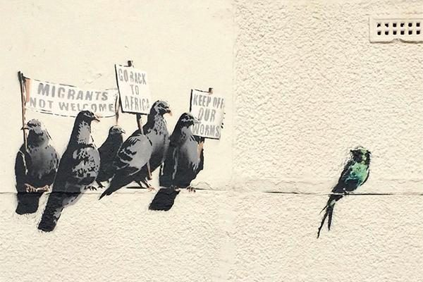 Banksy migrant birds