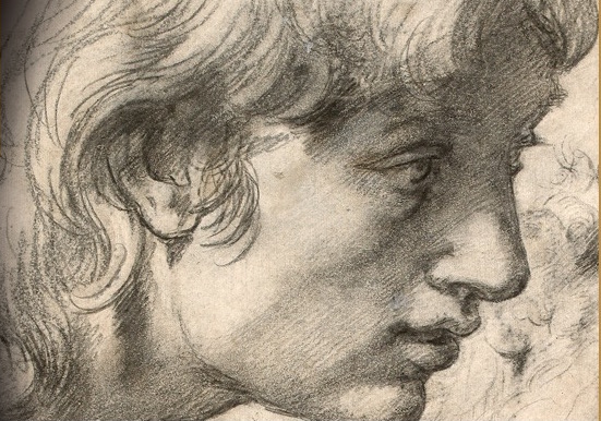 Raphael the Drawings Ashmoleon Museum
