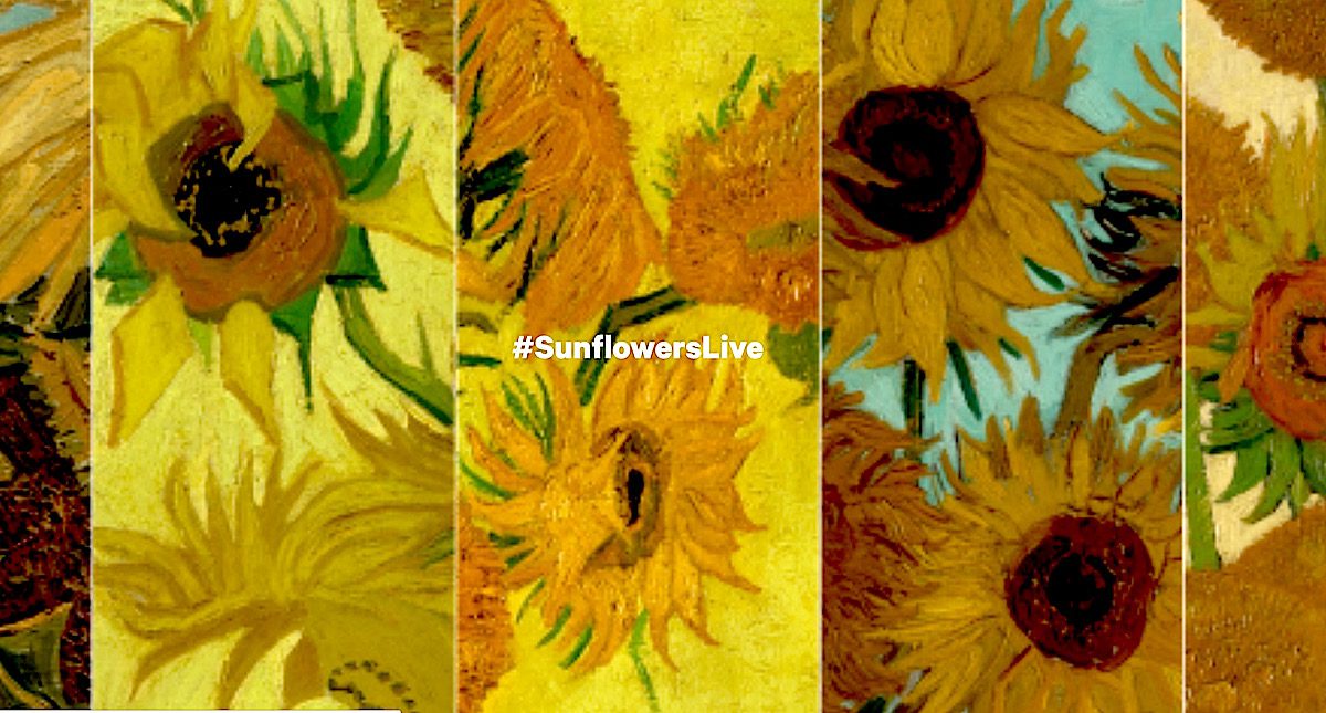 sunflowers live Facebook