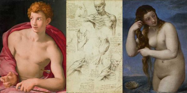 The Renaissance Nude,