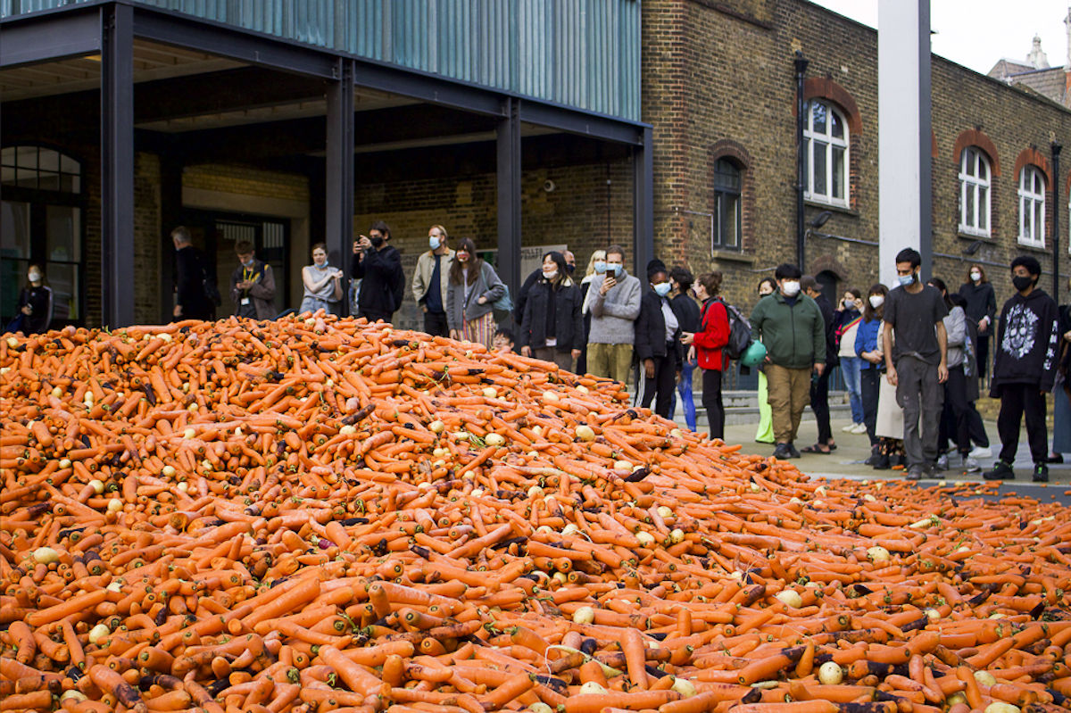 Goldsmiths Graduate Student Dumps 31 Tons Of Carrots For MFA Installation