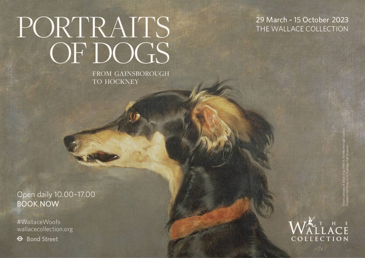 portrait of dogs, wallace collection
