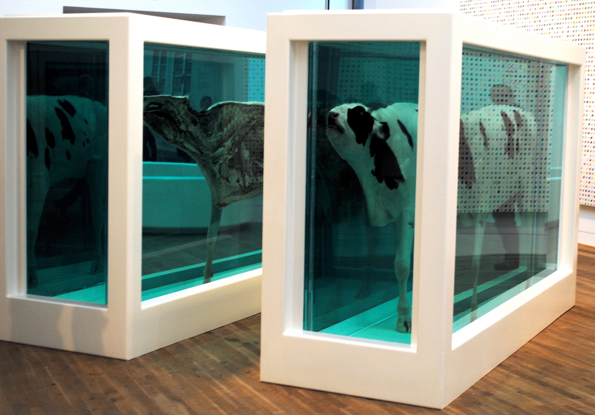 Damien Hirst Mother and Calf Divided