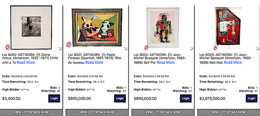 Government Auction