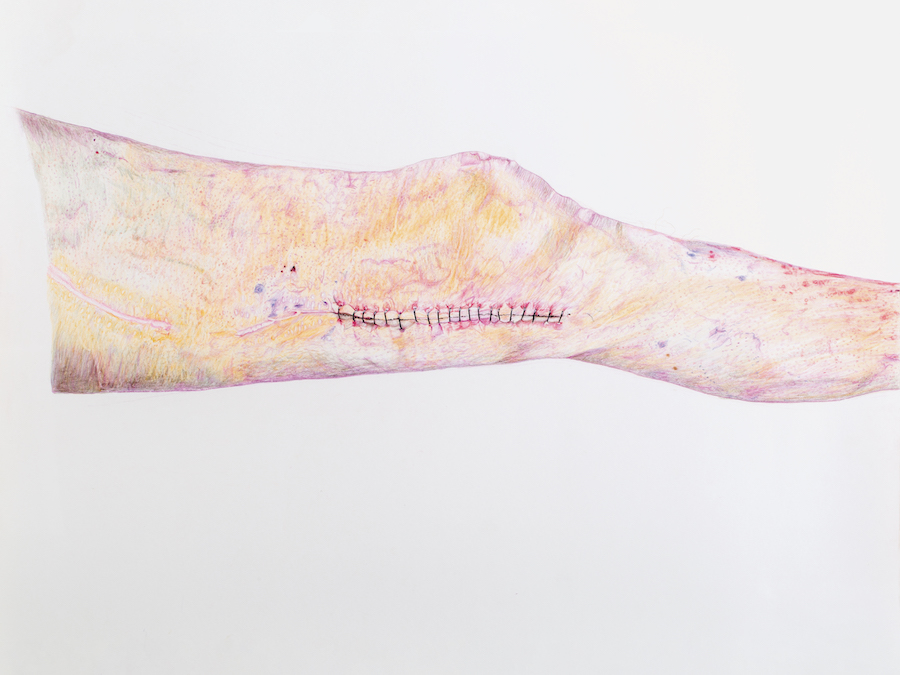 Michael Landy, Hastings Contemporary