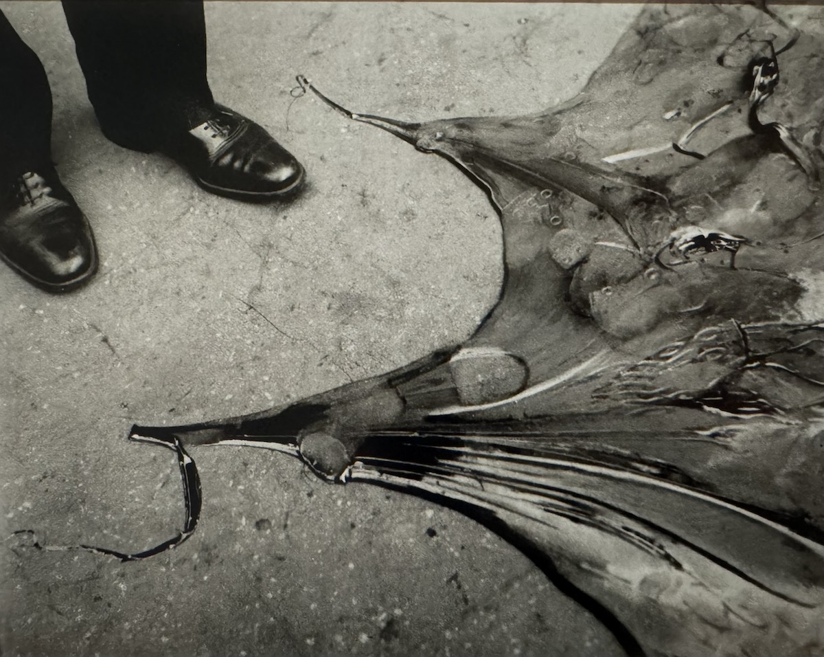 Lee Miller, Tate Britain