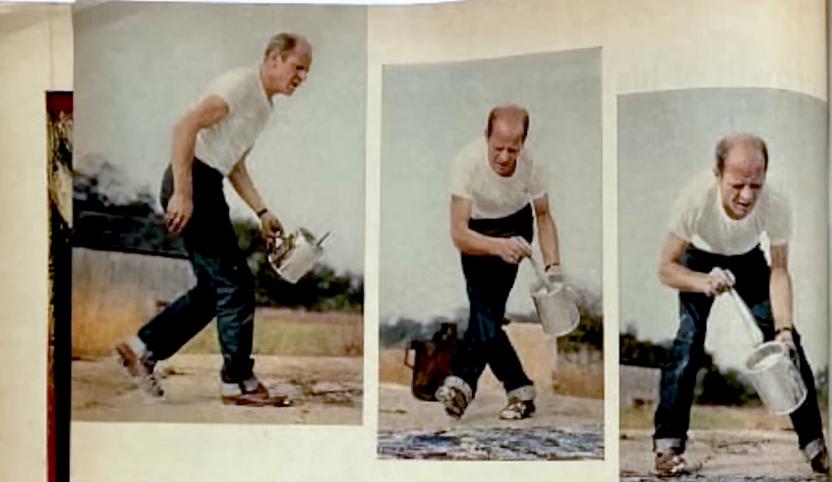 Pollock,McQueen