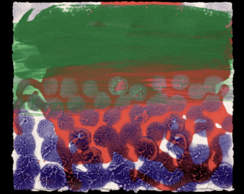 Howard Hodgkin, Pitzhanger Manor & Gallery