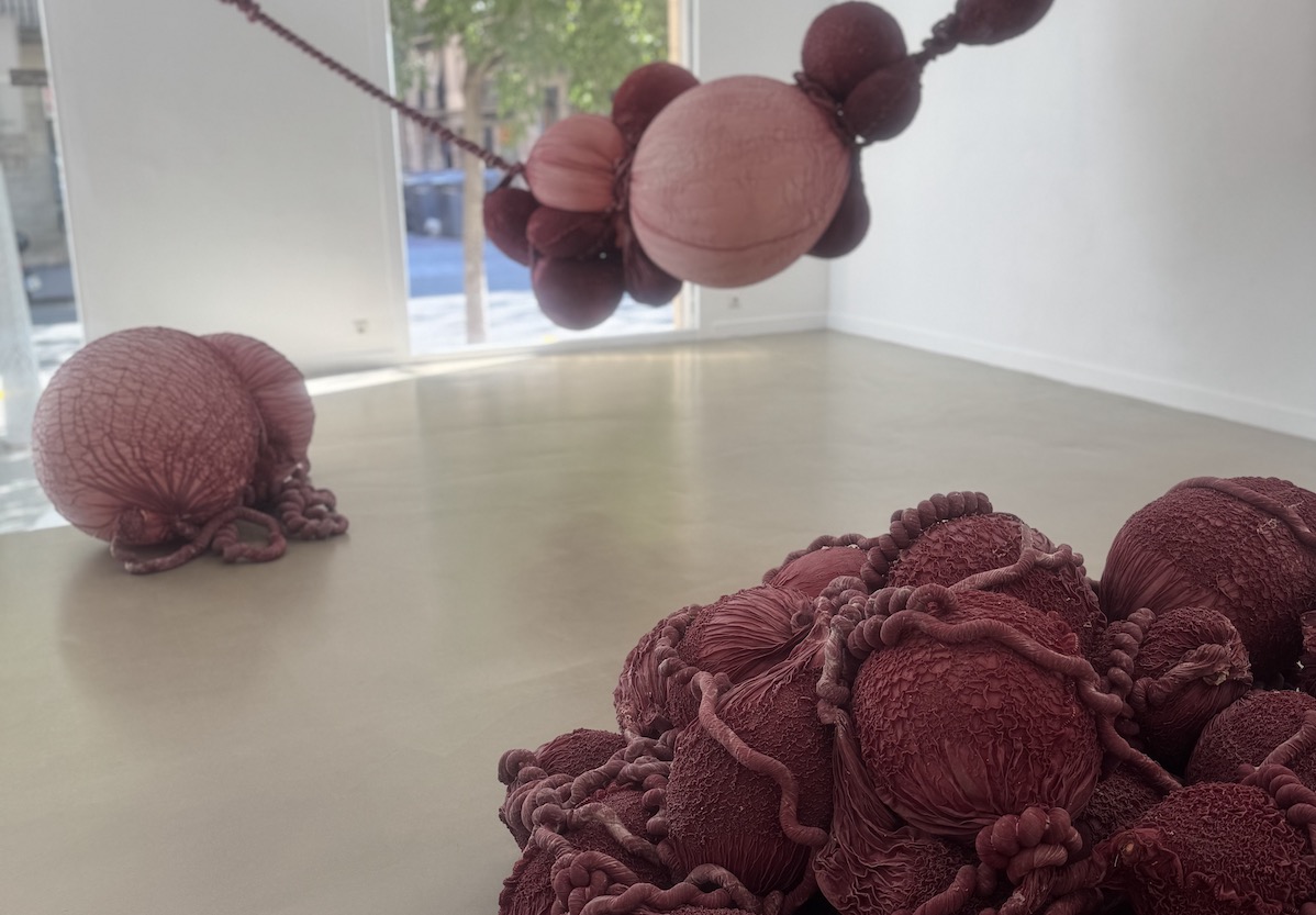 Barcelona Gallery Weekend 2025