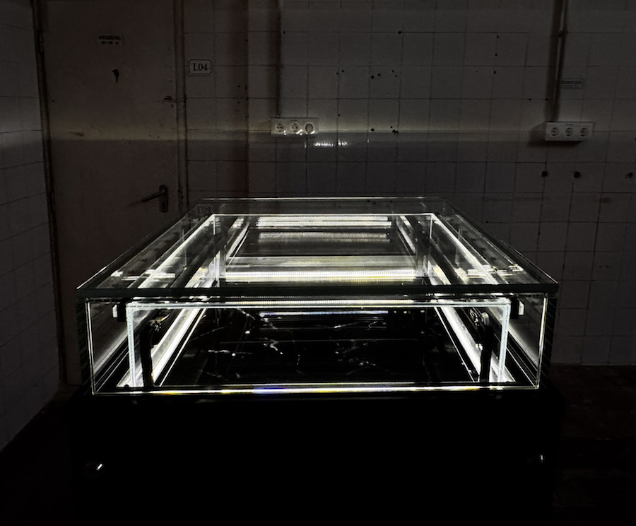 Carsten Nicolai, Nebelkammer (Cloud Chamber) 