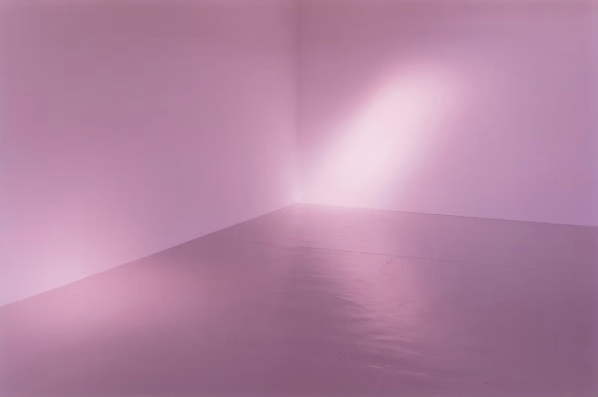 Wolfgang Tillmans,Maureen Paley
