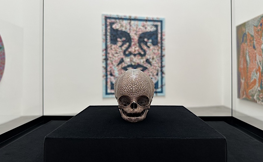  Shepard Fairey, Damien Hirst, Invader,Newport Street Gallery