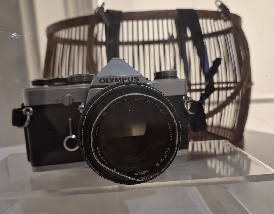 Jane Bown,Newland House & Gallery