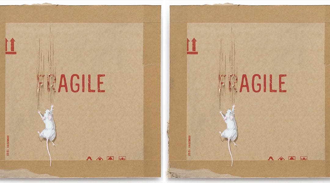 Russian Cyber Attack Halts Banksy’s Ukraine Charity Sale – Pussy Riot Scatters Putin’s Ashes – Art Night Moves To Dundee