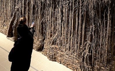 CoronART Chronicles: From ARCO To ConfineART – Virginie Puertolas-Syn