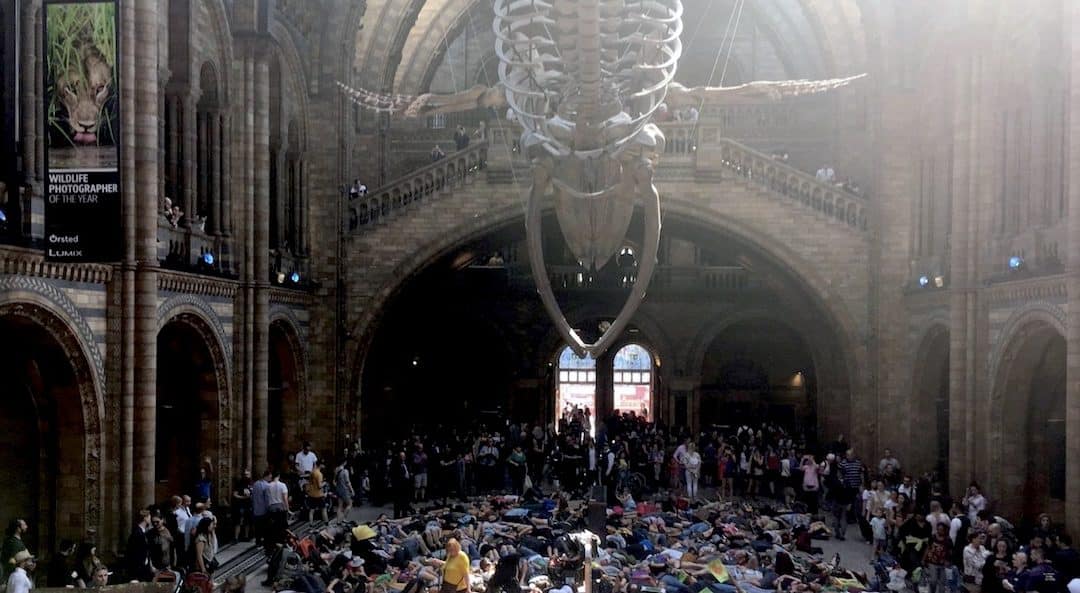 Extinction Rebellion Stages Huge Die-In At Natural History Museum
