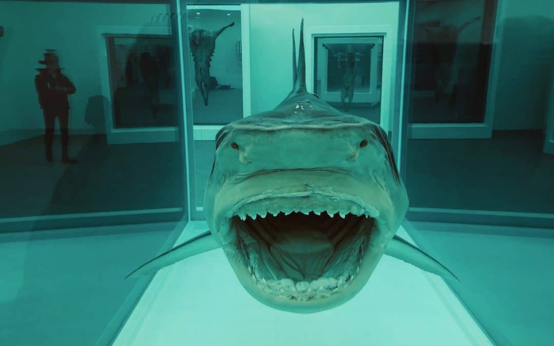 Frank Dunphy Damien Hirst’s Financial Advisor And Manager Dies Age 82