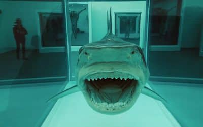 Frank Dunphy Damien Hirst’s Financial Advisor And Manager Dies Age 82