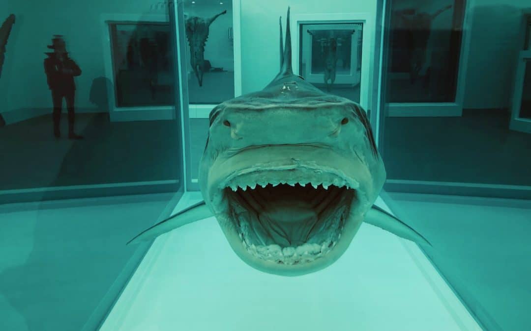 Damien Hirst: The Blurred Lines Between Conception And Creation 