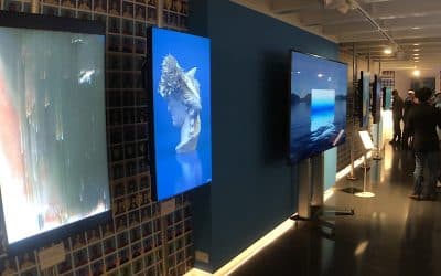 NFTs Sales Set To Match Global Art Trade Total – John Salt Photorealist Painter Dies Aged 84 – Gainsborough Blue Boy Returns