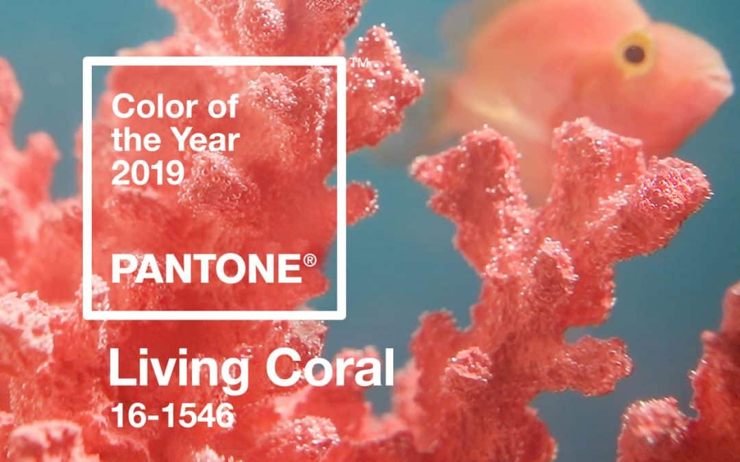 Living Coral Unveiled As Pantone Colour Of The Year 2019