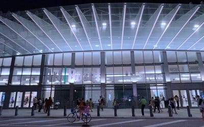 Art Basel Miami Beach 20th Anniversary Edition – What The Dealers Said