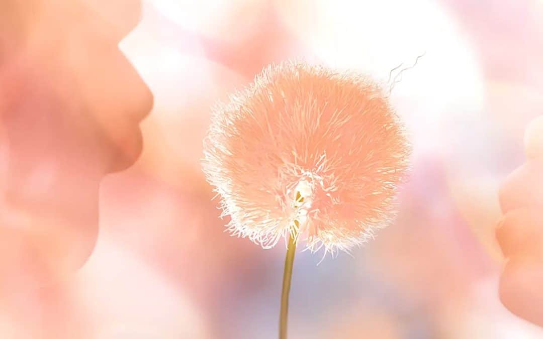 Pantone Palette Proclamation: Peach Fuzz Takes the Lead for 2024