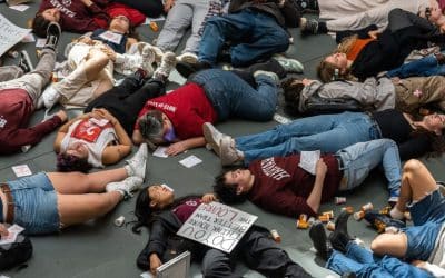 More Sackler Pain at Harvard  – Damien Hirst’s 9 Day £20m Windfall -Texas Princess Evicted In Rome