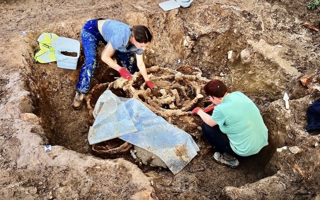 Iron Age Wealth Unearthed: Yorkshire Archaeological Hoard Rewrites History