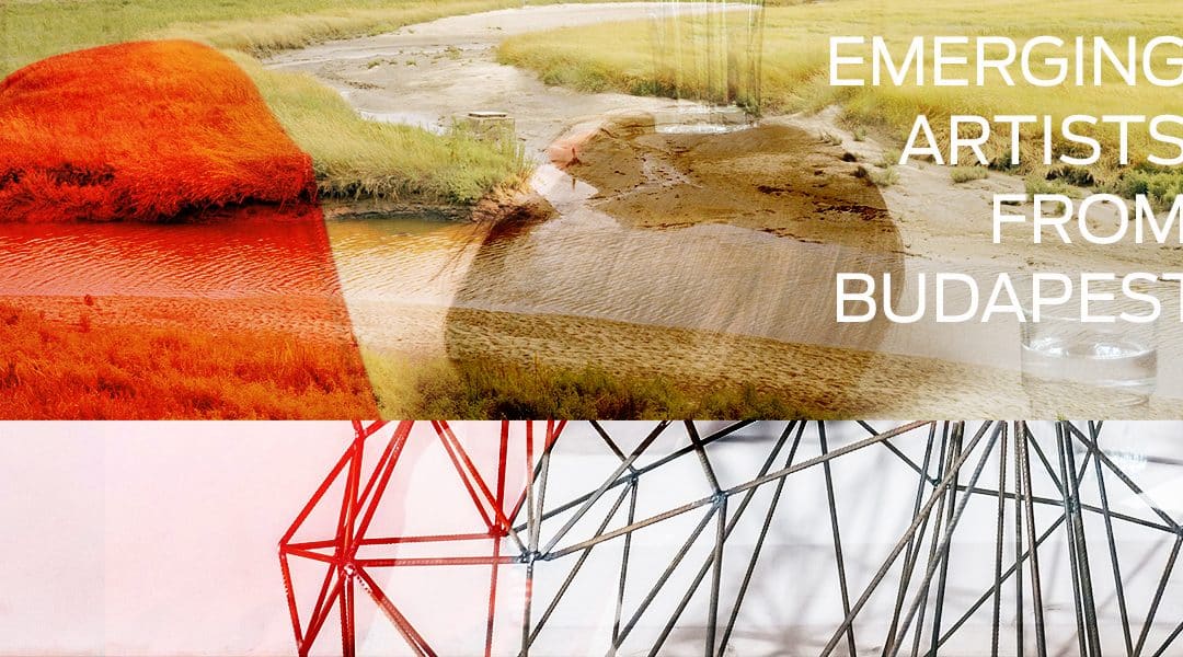 Emerging Artists From Budapest – Zoltan Alexander Investigates This Dynamic Scene