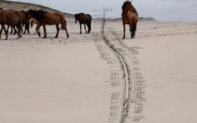 Canadian Italian Artist Janet Bellotto New MOCA London Exhibition Relation-Ships