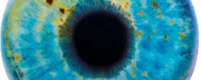 MAJOR MARC QUINN EXHIBITION FOR MONACO