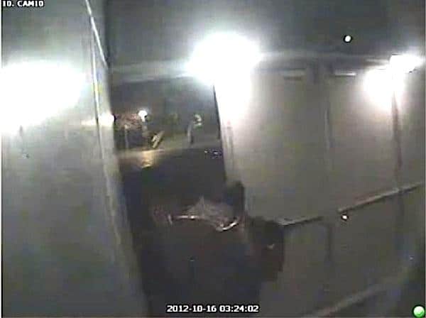 Rotterdam Police Release 100 Million Art Heist video