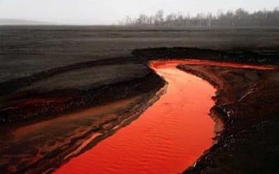 New Positive View Foundation Exhibition Announced Landmark: the Fields of Photography