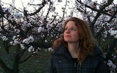 Art Infrastructure: Redefining The Conceptual Apparatus Of Creative Pursuit