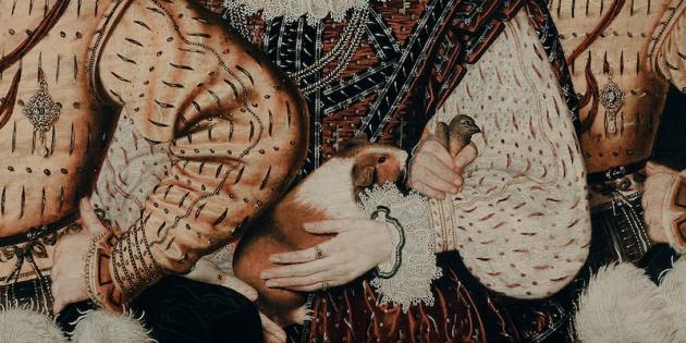 First Portrait Of Guinea Pig Discovered At National Portrait Gallery