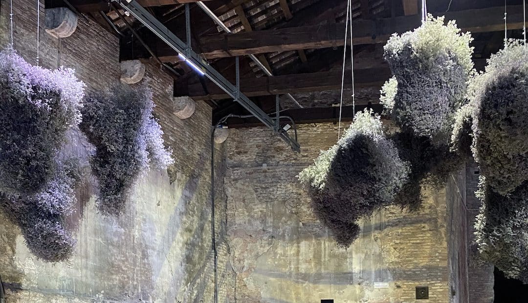 Dreaming With Our Bodies In Ancient Futures – Venice Biennale 2022 – Marie-Louise Jones