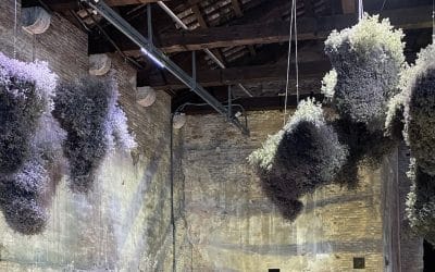 Dreaming With Our Bodies In Ancient Futures – Venice Biennale 2022 – Marie-Louise Jones